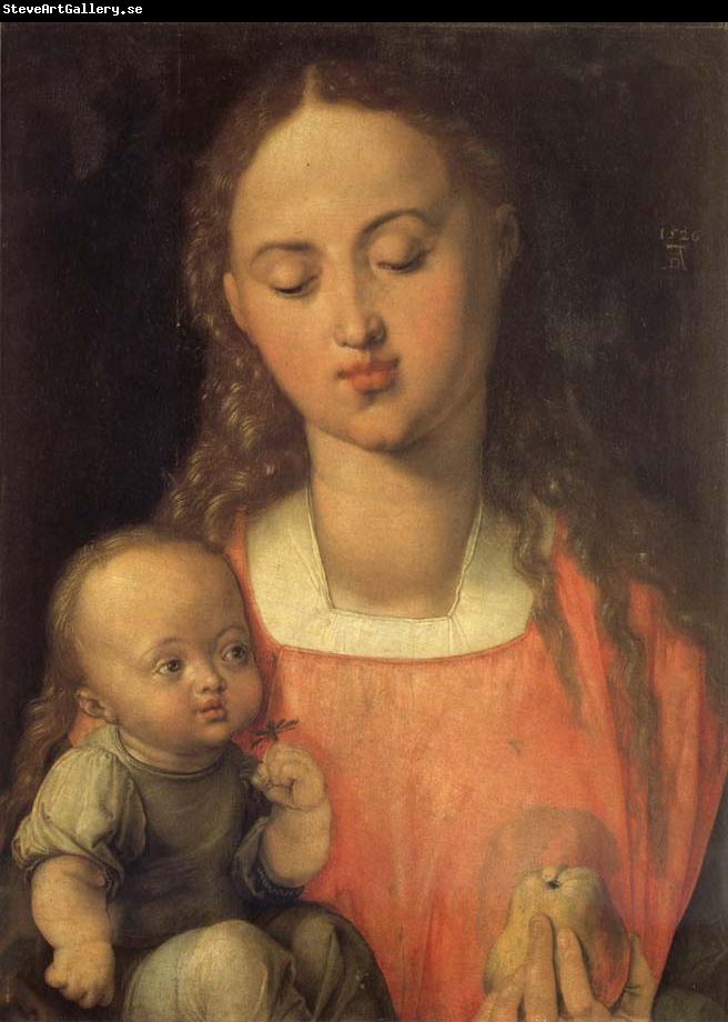 Albrecht Durer The Madonna with the pear